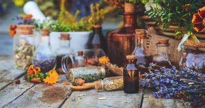 Alchimiste en herbe - Herboristerie et produits naturels à Montréal