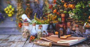 Alchimiste en herbe - Recherche de produit