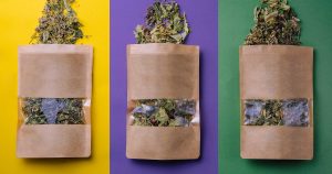 Alchimiste en herbe - Plantes médicinales en sacs